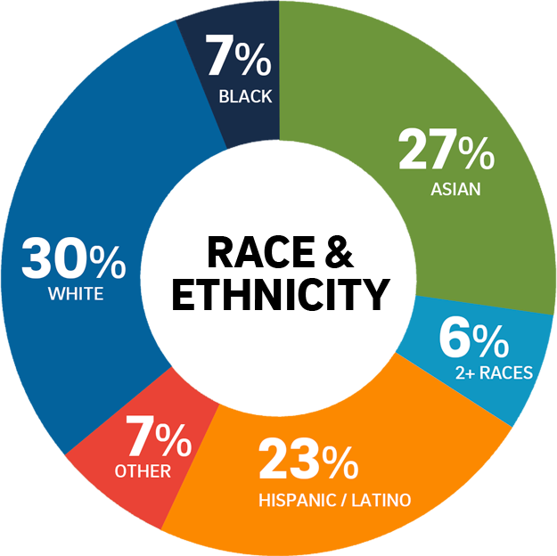 race-donut-chart.png